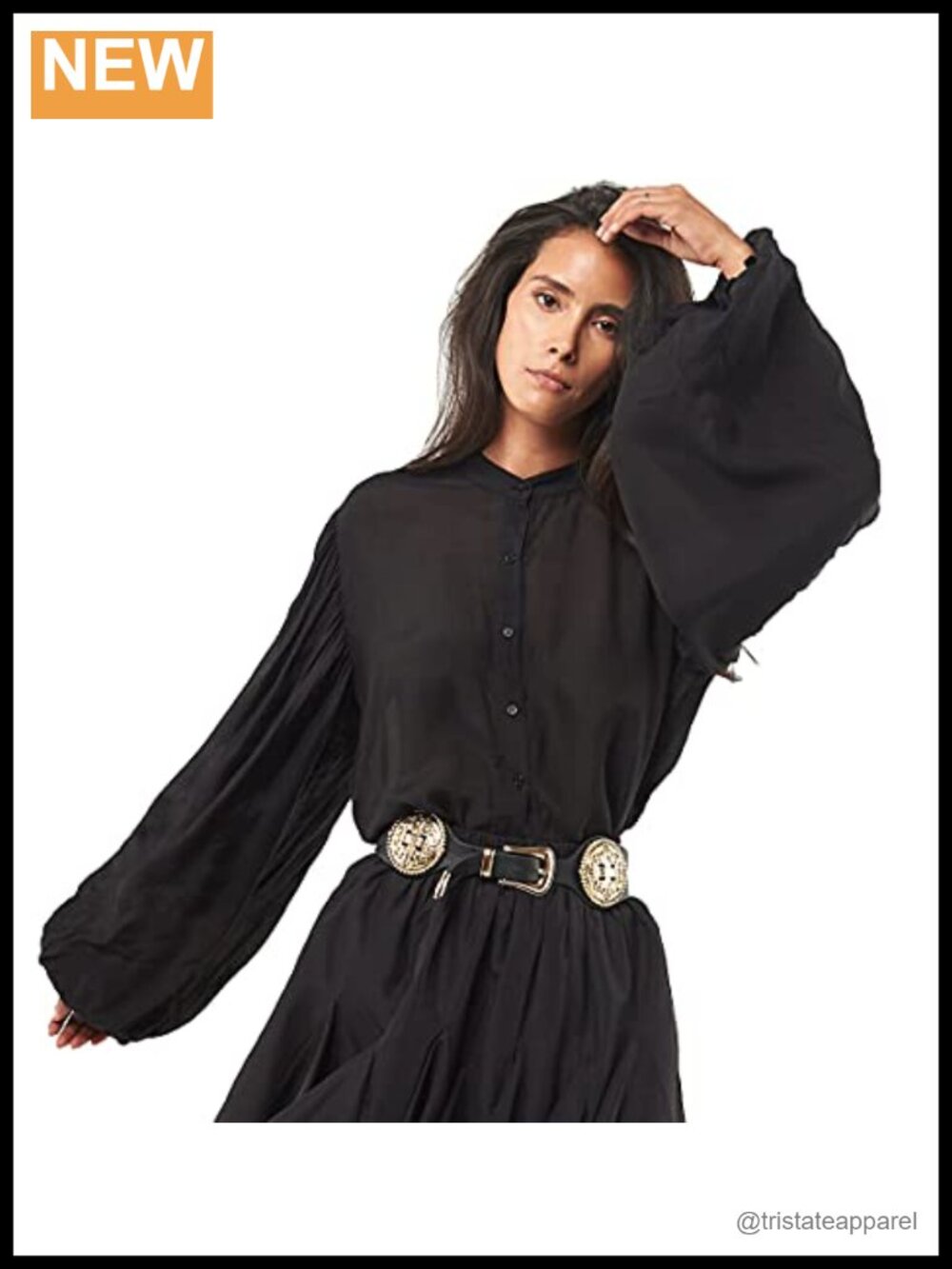 Long Sleeve Element Blouse, Collared Neck, Puff Sleeve, Button Front